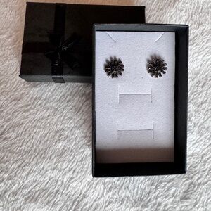 Elegant Black Spinel Earrings